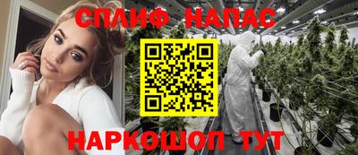 СК Канаш