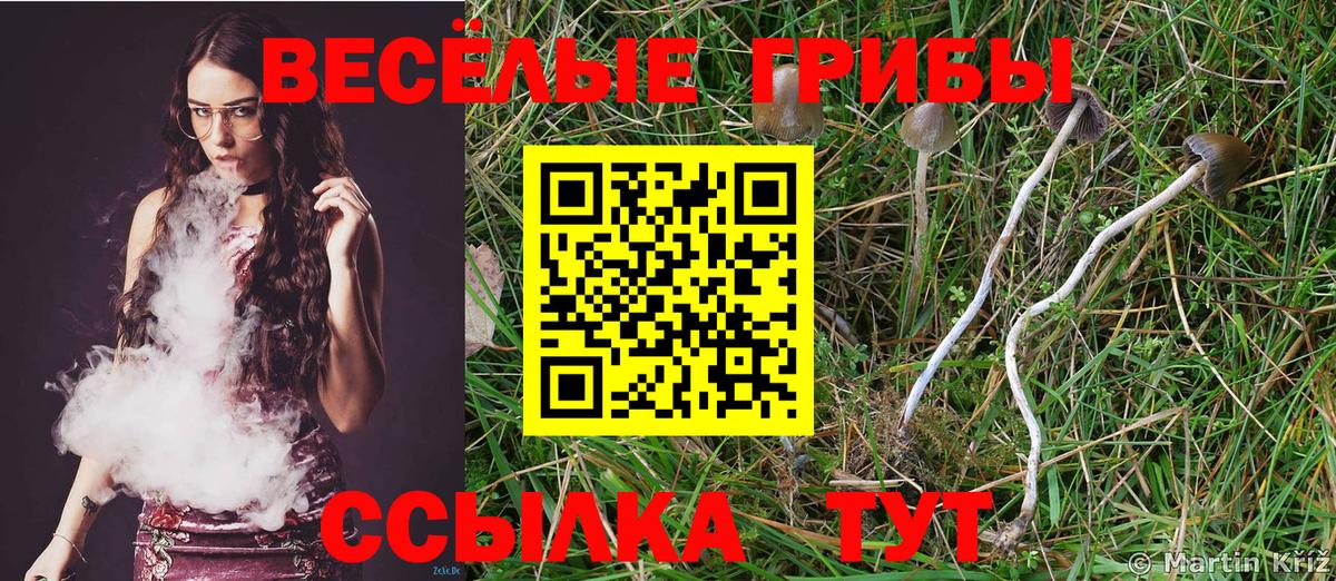 МЕТ  Кокаин  Гашиш  Меф МЯУ МЯУ кристаллы  Гашиш  Волхов  Вход с VPN  Конопля  МДМА  КЕТАМИН 